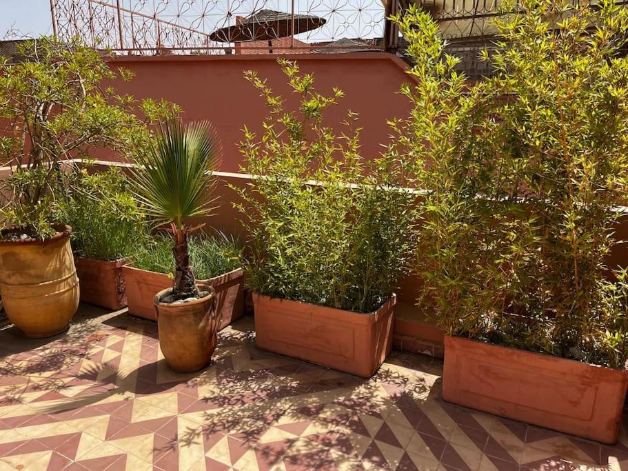 Riad Nadara, Superbe Riad Au Coeur De La Medina! Marrakesh Exterior foto